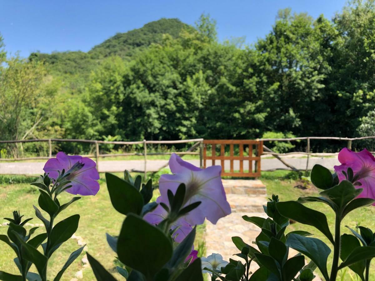 Orahovo Cottages เวียร์ปาซาร์ ภายนอก รูปภาพ