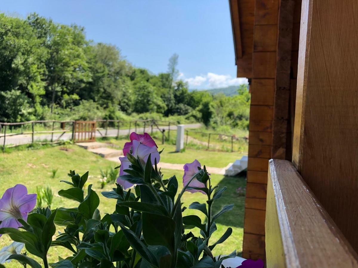 Orahovo Cottages เวียร์ปาซาร์ ภายนอก รูปภาพ